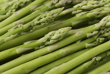 Image showing Asparagus spears