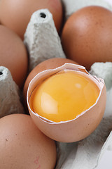 Image showing Separated yolk in a shell