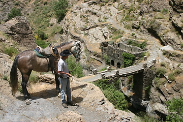 Image showing Man and horse by bridge, Las Alpujarras, Spain