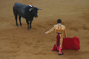 Image showing Bullfighter in Granada, Spain