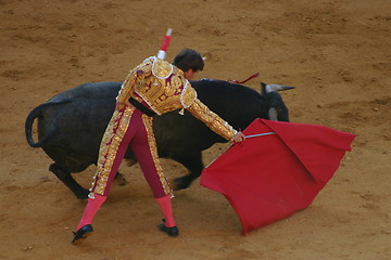 Image showing Bullfighter in Granada, Spain