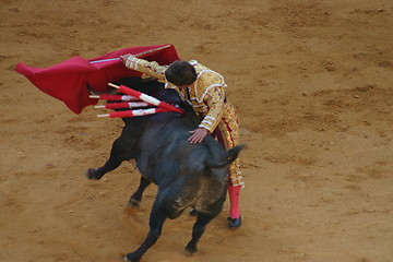 Image showing Bullfighter in Granada, Spain