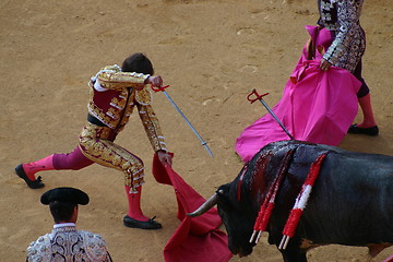 Image showing Matador in Granada, Spain