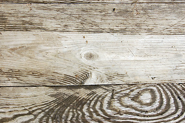 Image showing Wood texture