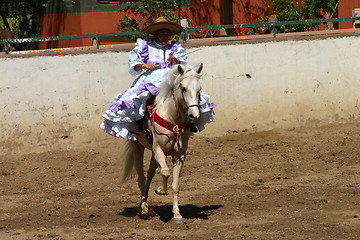 Image showing Girl in dress horseback