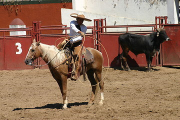 Image showing Mexican charro with lasso