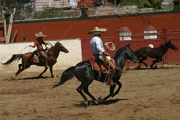 Image showing Mexican charros chasing a little pony