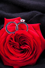 Image showing Diamond engagement ring in the heart of a red rose