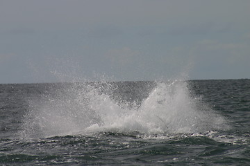 Image showing Splash from a whale, the Pacific