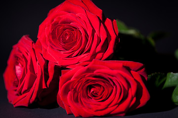 Image showing beautiful red rose flower on black background