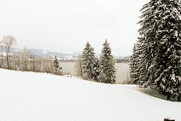 Image showing forest and field  winter landscape