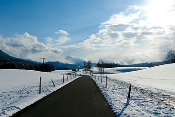 Image showing forest and field  winter landscape