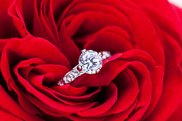 Image showing Diamond engagement ring in the heart of a red rose