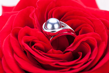 Image showing Diamond engagement ring in the heart of a red rose