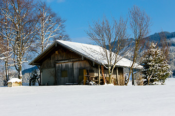 Image showing forest and field  winter landscape