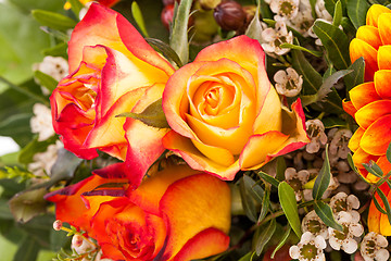 Image showing Background of vivid orange roses