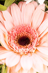 Image showing Bouquet of fresh pink and white flowers