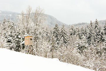 Image showing forest and field  winter landscape