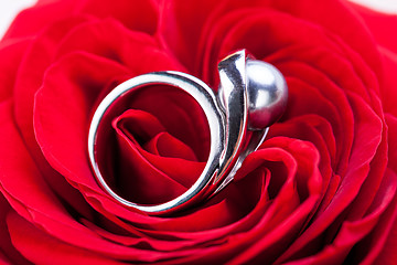 Image showing Diamond engagement ring in the heart of a red rose