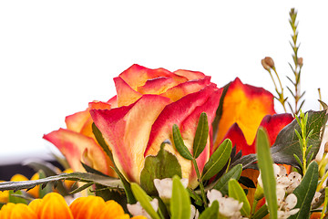 Image showing Background of vivid orange roses