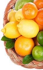 Image showing Fresh citrus fruit with leaves in a wicker basket