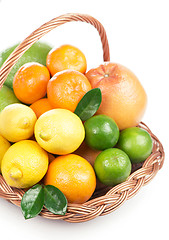 Image showing Fresh citrus fruit with leaves in a wicker basket