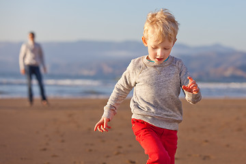 Image showing family at the beach in california