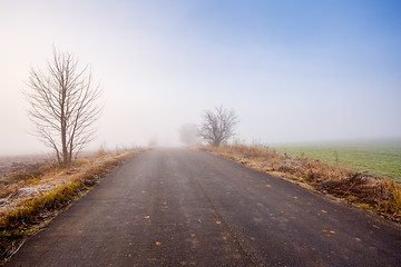 Image showing rural foggy road going to the mist