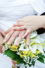 Image showing Bride and groom's hands with wedding rings