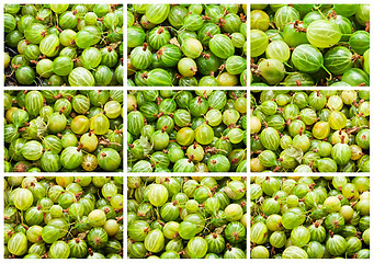 Image showing Gooseberries