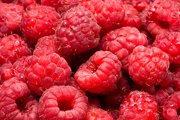 Image showing Raspberries