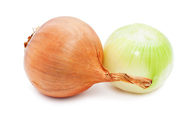 Image showing Onion