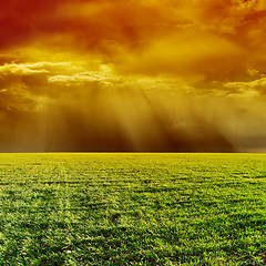 Image showing orange dramatic sky over green field