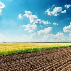 Image showing agriculture fields under deep blue cloudy sky