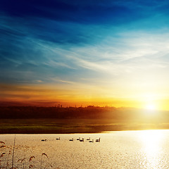 Image showing sunset over lake with swans