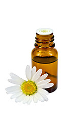 Image showing Oil with chamomile