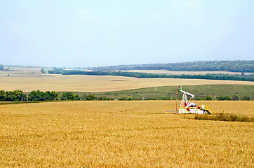 Image showing Grain field with oil pump