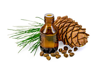 Image showing Oil with cedar cone and nuts