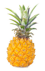 Image showing ripe ananas fruit with green leaves