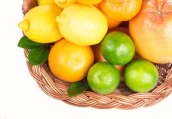 Image showing Fresh citrus fruit with leaves in a wicker basket