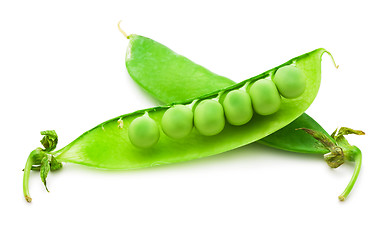 Image showing Pea