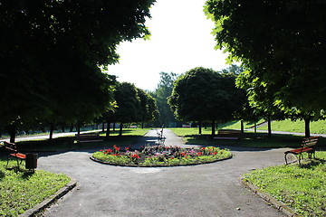 Image showing Beautiful park with many green trees in Lvov