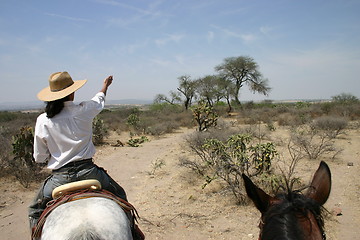 Image showing Rider showing the way in Mexican desert landscape