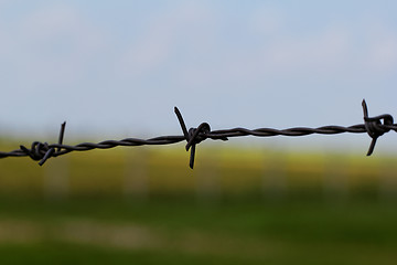 Image showing barbed wire