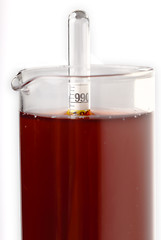 Image showing Measuring wine density with a hydrometer