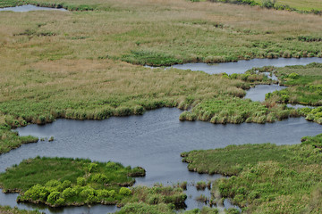 Image showing small lakes in the reeds