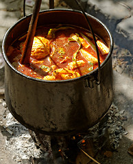 Image showing in stew pot cooked food