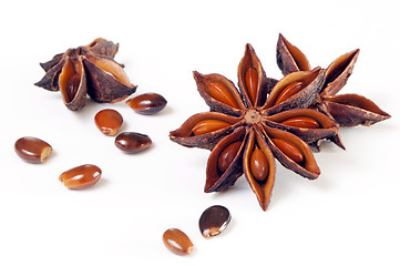 Image showing Star anise, star aniseed, or Chinese star anise