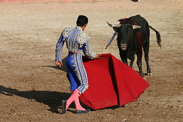 Image showing Young bullfighter