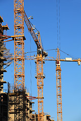 Image showing tower cranes